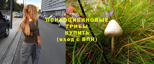 прущие грибы Абинск