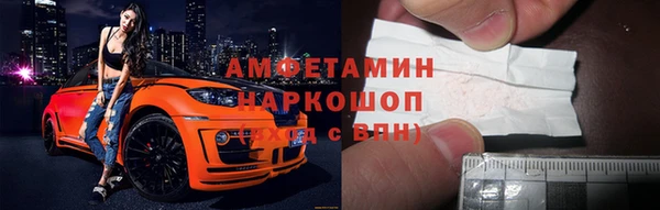 прущие грибы Абинск