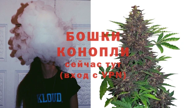 хмурый Краснослободск