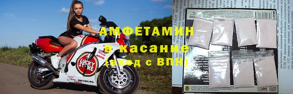 apvp Алзамай
