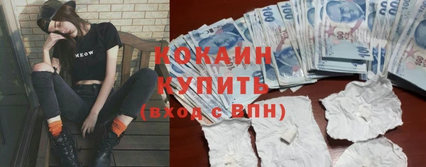 прущие грибы Абинск