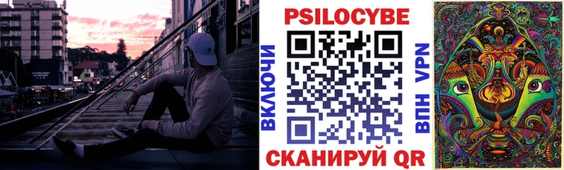KRAKEN сайт  Галич  Галлюциногенные грибы Psilocybine cubensis 